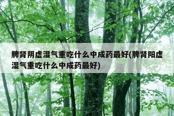 脾肾阴虚湿气重吃什么中成药最好(脾肾阳虚湿气重吃什么中成药最好)