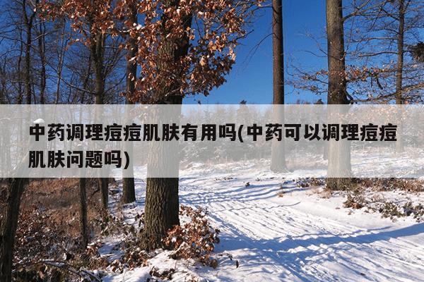 中药调理痘痘肌肤有用吗(中药可以调理痘痘肌肤问题吗)