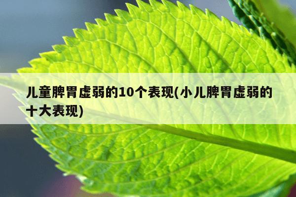 儿童脾胃虚弱的10个表现(小儿脾胃虚弱的十大表现)