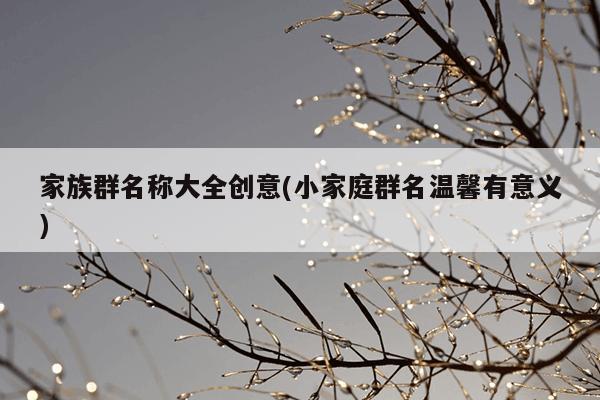 家族群名称大全创意(小家庭群名温馨有意义)