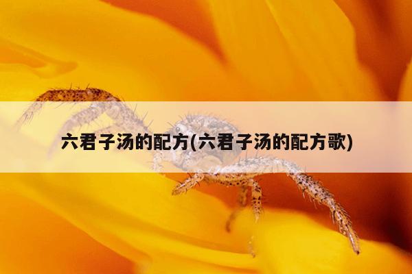 六君子汤的配方(六君子汤的配方歌)