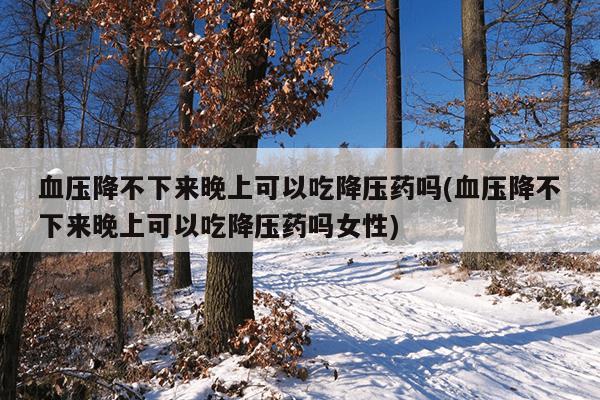 血压降不下来晚上可以吃降压药吗(血压降不下来晚上可以吃降压药吗女性)
