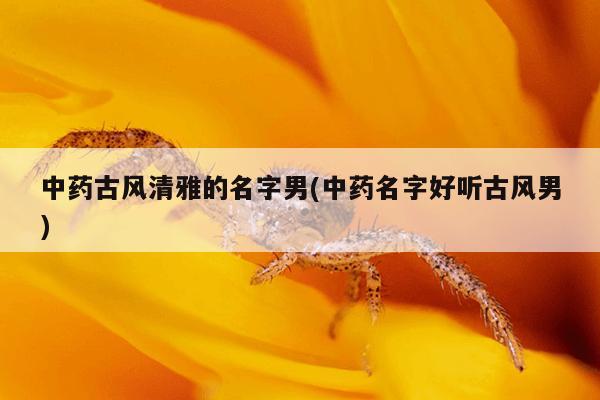 中药古风清雅的名字男(中药名字好听古风男)