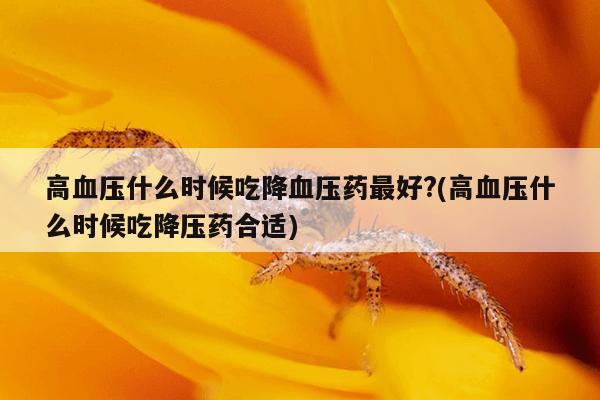 高血压什么时候吃降血压药最好?(高血压什么时候吃降压药合适)