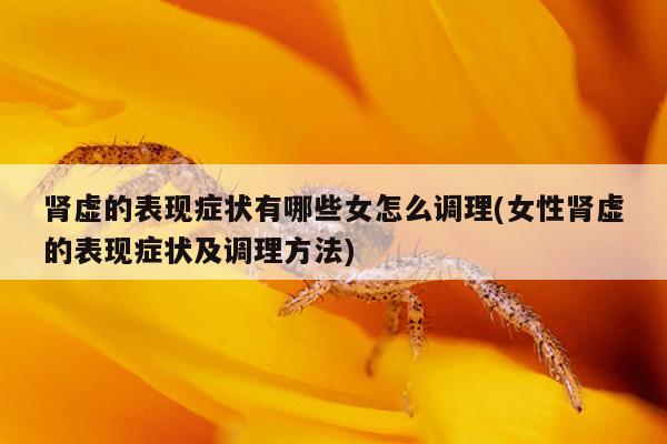 肾虚的表现症状有哪些女怎么调理(女性肾虚的表现症状及调理方法)