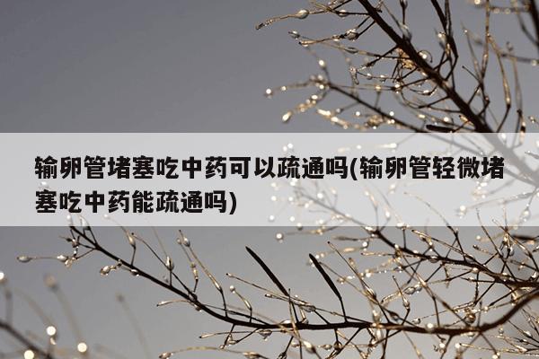 输卵管堵塞吃中药可以疏通吗(输卵管轻微堵塞吃中药能疏通吗)